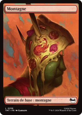 Montagne - Teenage Mutant Ninja Turtles