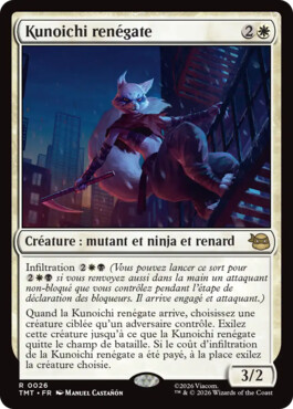 Kunoichi renégate - Teenage Mutant Ninja Turtles