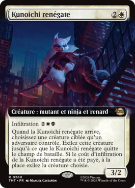 Kunoichi renégate - Teenage Mutant Ninja Turtles