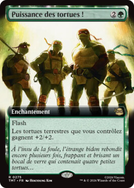 Puissance des tortues ! - Teenage Mutant Ninja Turtles
