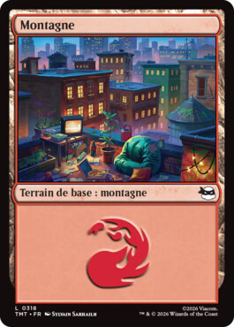 Montagne - Teenage Mutant Ninja Turtles