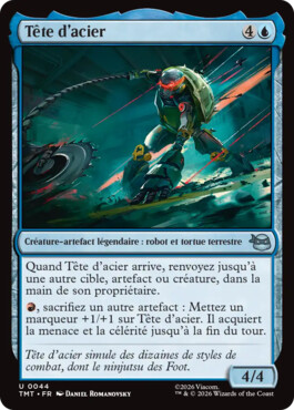 Tête d'acier - Teenage Mutant Ninja Turtles