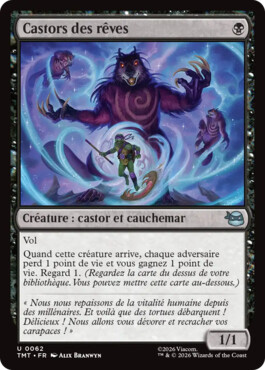 Castors des rêves - Teenage Mutant Ninja Turtles