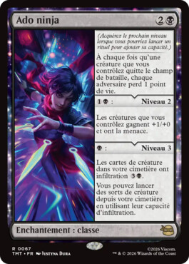 Ado ninja - Teenage Mutant Ninja Turtles