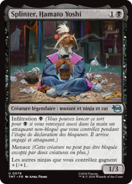 Splinter, Hamato Yoshi - Teenage Mutant Ninja Turtles