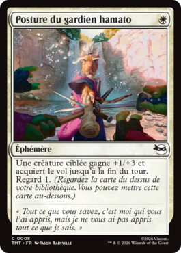 Posture du gardien hamato - Teenage Mutant Ninja Turtles