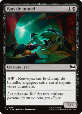 Rats de tunnel - Teenage Mutant Ninja Turtles