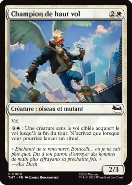 Champion de haut vol - Teenage Mutant Ninja Turtles